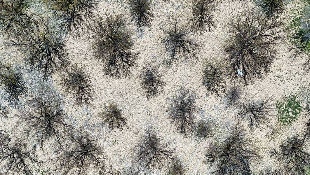 Tarımda tarihin en büyük felaketi yaşanıyor! Meyve, sebze fiyatlarında rekor artış yaşanacak 33